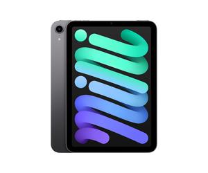iPad Mini 6e génération 8,3 (2021), 256 Go - WiFi - Gris sidéral