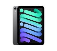 iPad mini 7 (8,3') 5G 256 Go, Gris sidéral