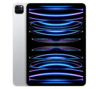 iPad Pro 11" (2022) 4e génération 256 Go - WiFi + 5G - Argent - Reconditionné