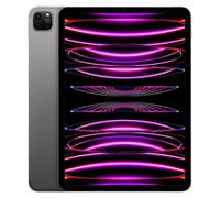 iPad Pro 11" (2022) 4e génération 512 Go - WiFi + 5G - Gris Sidéral - Reconditionné