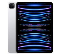 iPad Pro 11" (2022) 4e génération 512 Go - WiFi - Argent - Reconditionné