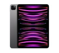 iPad Pro 11 WiFi + Cellular 128 Go Gris (4e gen.)