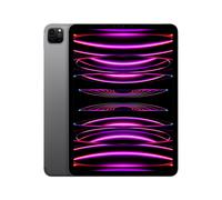 iPad Pro 4e génération 11 Puce M2 (2022), 256 Go - WiFi + Cellular 5G - Gris sidéral