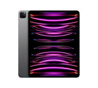 iPad Pro 6e génération 12,9 Puce M2 (2022), 128 Go - WiFi + Cellular 5G - Gris sidéral