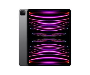 iPad Pro 6e génération 12,9 Puce M2 (2022), 128 Go - WiFi + Cellular 5G - Gris sidéral