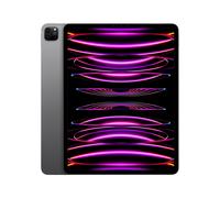 iPad Pro 6e génération 12,9 Puce M2 (2022), 256 Go - Wifi - Gris sidéral