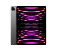 iPad Pro 6e génération 12,9 Puce M2 (2022), 512 Go - Wifi - Gris sidéral
