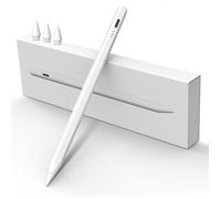 iPad Stylus 2018-2025 with 13 Minute Quick Charge Palm Rejection and Tilt Sensitivity,Pencil for iPad 6-11th,Mini 5/6e,Air