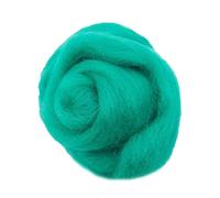 IPAGSEFWE Laine cardée pour feutrage, Fibre de Laine mèche Aiguille feutrage filage Bricolage Artisanat matériel Multicolore 10 g/50 g/100 g(26,10g)