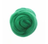 IPAGSEFWE Laine cardée pour feutrage, Fibre de Laine mèche Aiguille feutrage filage Bricolage Artisanat matériel Multicolore 10 g/50 g/100 g(54,10g)