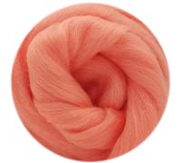 IPAGSEFWE Laine cardée pour feutrage, Laine à feutrer à l'aiguille mélangée Naturelle Multicolore 100 g for Loisirs créatifs(100g-23)