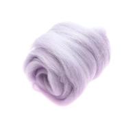 IPAGSEFWE Laine cardée pour feutrage, Laine mèche Fibre for feutrage à l'aiguille, feutrage Humide, filage à la Main, matériaux d'artisanat de Bricolage, Multicolore, 100 g(53)