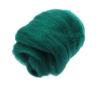 IPAGSEFWE Laine cardée pour feutrage, Laine mèche Fibre for feutrage à l'aiguille, feutrage Humide, filage à la Main, matériaux d'artisanat de Bricolage, Multicolore, 100 g(96)