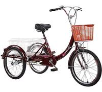 IPAGSEFWE Tricycle pour Adulte, Adult Tricycle 3 Wheel Bike 20 inches Single Speed with Basket Multicolor