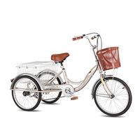 IPAGSEFWE Tricycle pour Adulte, Adult Tricycle 3 Wheel Bike HCS Frame 20 inch Wheels with Rear Basket Red/Champagne Gold