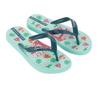 Ipanema Tongs And Mr Wonderful Iv