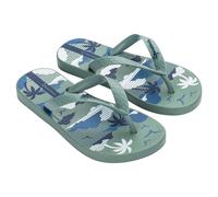 Ipanema Tongs Temas
