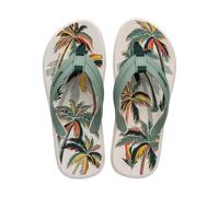 Tongs Ipanema Urban Graphics Ad pour Homme 45 - 46 Beige
