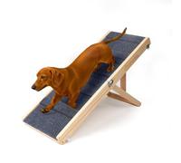 iPetba Rampe pour Chien pour canapé, Petits Chiens, réglable et Pliable