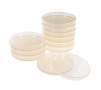 Ipetboom 10 Pièces Lot de Plaques Agar Pré-versées Boîtes de Pétri Portables pour Projets Scientifiques Scolaires et Recherches Biologiques