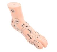 Ipetboom 1pièce Modèle De Massage Acupoint Pour Modèle De Réflexologie Détails Réalistes Pour Enseignement Pratique