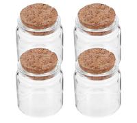 Ipetboom 4 Pièces Mini Bouteilles en Verre Petite Bouteille en Verre avec couvercles Transparent