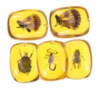 Ipetboom 5 pièces Pendentifs Résine Insectes Naturels Bijoux Spécimens Délicats Accessoires et Portable pour Création DIY