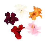 Ipetboom 5Pcs Hawaiian Flower Hair Clips For Women: 5 Pcs Plumeria Flower Clips Bridal Wedding Beach Hair Clips Party Hair Accessory
