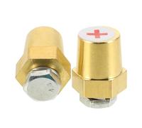 Ipetboom Adaptateurs d'Extension pour Bornes de Batterie en Laiton 1 Paire Connecteurs Mâles Filetés pour Bornes Latérales et Cosses Accessoires Électriques pour Batterie de Voiture