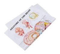 Ipetboom Affiche Anatomie Cerveau Humain sur Toile pour École Laboratoire et Bureau Poster Éducatif Scientifique sans Cadre Chart Anatomique Physiologie Humaine