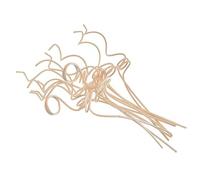 Ipetboom Bâtonnets Diffuseur D’arômes Rotin Grand Format Beige, 12 Pièces, Accessoires pour Diffuseur D’Huile Essentielle, Diffusion Rapide pour Chambre, Salon, Bureau, Usage Intérieur