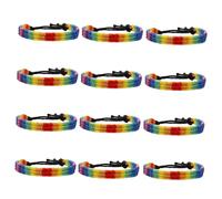 Ipetboom Bracelets D'amitié Tressés Arc-en-ciel 12 Pièces, Bracelets Ajustables en Corde Nylon Colorée, Unisexes pour Couple, Fierté Lgbt, Présent Amitié et Célébration