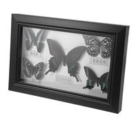 Ipetboom Cadre Butterfly en Bois 12 Pouces Cadre Décoratif Mural Multicolore pour Artisanat à Base de Spécimen et Décoration Murale à Suspendre pour Intérieur