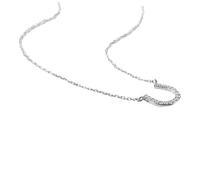 Ipetboom Chaîne De Clavicule En Fer à Cheval Charbonniers Collier Pour Femme Accessoires Pour Les Femmes Collier De Cou Collier Femme Collier De Déclaration Collier à La Mode Alliage