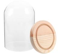 Ipetboom Cloche en Verre Transparente 8X12 CM avec Socle en Bois Naturel Cloche Décorative pour Plantes Porte-Verres et Petite Vitrine pour Décor de Table Dôme en Verre Miniature pour