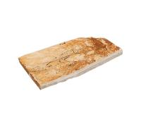 Ipetboom Fossile de Poisson à Nageoires de Loup Spécimen Paléontologique Unique pour Science et Éducation Décoration Pédagogique de Créature Marine pour Salle de Classe Matériel