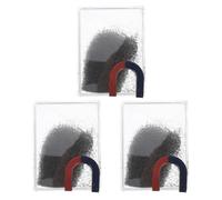 Ipetboom Kit De Démonstration De Champ Magnétique En 3 Exemplaires Poudre De Fer Limaille De Fer Magnétique Pour Expériences De Physique En Classe