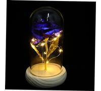 Ipetboom Lampe de Table Romantique LED sous Cloche avec Rose Préservée Décoration Éternelle Verre pour Maison et sans Pile