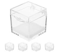 Ipetboom Lot de 5 Boîtes de Rangement Transparentes pour Minéraux Petite Boîte Carrée Coussin Blanc pour Collection de Roches et Spécimens Vitrine Compacte pour Exposition et Protection