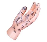 Ipetboom Modèle Acupoints de Main PVC pour Enseignement Réflexologie et Acupuncture Support Éducatif Précis avec Points Nommés pour Étudiants Médecine Traditionnelle Chinoise
