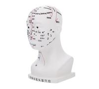 Ipetboom Modèle Acupuncture De Tête Modèle De Points Acupuncturaux Faciaux Pour Enseignement Médecine Traditionnelle Chinoise