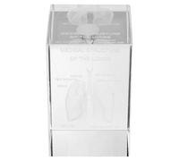 Ipetboom Modèle Anatomique 3D de Poumon Humain en Cristal Cube Gravé Décor Scientifique Éducatif Objet Pédagogique Précis pour Biologie et Anatomie Présent Élève Décoration Bureau