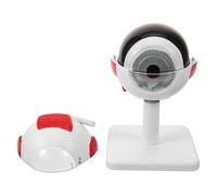 Ipetboom Modèle Anatomique de L'Œil Humain 3X Agrandi, Modèle Oculaire Médical pour Enseignement Scientifique, Structure Détaillée en Couleurs Vives, Outil Pédagogique pour Études en