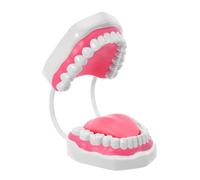 Ipetboom Modèle Pédagogique de Bouche 6 Fois Agrandi Blanc, Modèle de Dent en Plastique pour Formation D’Hygiène Bucco-, Kit Éducatif pour Étudiants et Enseignants, Outil D’Apprentissage