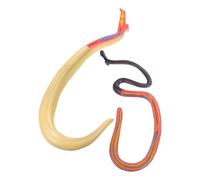 Ipetboom Modèle Pédagogique de Schistosome Factice Hermaphrodite Démontable Modèle Anatomique Animal Moyen pour Enseignement Biologique Matériel Pédagogique Scientifique pour Classe et