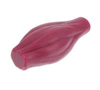 Ipetboom Modèle Pédagogique Musculaire Réaliste en Silicone de 1 Lb pour Enseignement et Affichage, Design Unique, pour Étude Anatomique et Démonstration