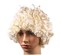 Ipetboom Perruque de Cosplay de Juge et Avocat pour Hommes Accessoire de Costume pour Fête et Rôle Play Look