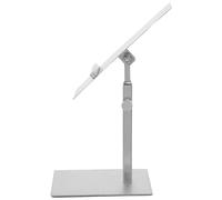 Ipetboom Présentoir à Chaussures Surélevé en Acier Inoxydable Réglable en Hauteur, Support Métal pour Talons Hauts, Étagère Compacte pour Magasin et Exposition, Organisateur Pratique