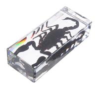 Ipetboom Presse-papiers Résine Transparent avec de Scorpion Réaliste Décoration Scientifique pour Bureau et Éducation Sciences Collection Éducative pour Bureau à