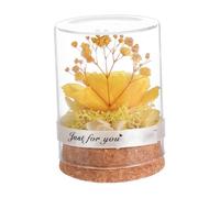 Ipetboom Rose Éternelle sous Verre Décoratif Cadeau Créatif pour Saint-Valentin et Fête des Mères Décoration Élégante pour Maison et Bureau